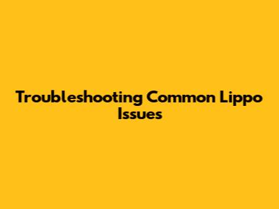 Troubleshooting Common Lippo Issues