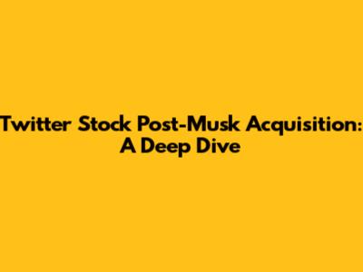 Twitter Stock Post-Musk Acquisition: A Deep Dive