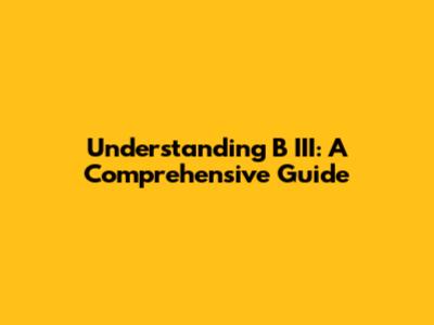 Understanding B III: A Comprehensive Guide