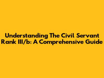 Understanding The Civil Servant Rank III/b: A Comprehensive Guide