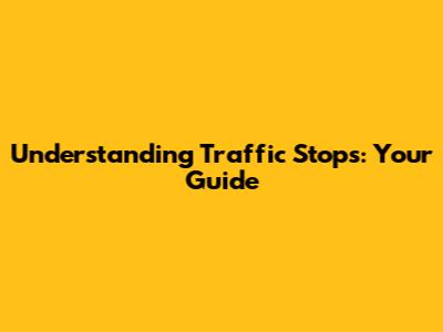 Understanding Traffic Stops: Your Guide