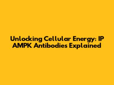 Unlocking Cellular Energy: IP AMPK Antibodies Explained