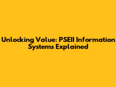 Unlocking Value: PSEII Information Systems Explained