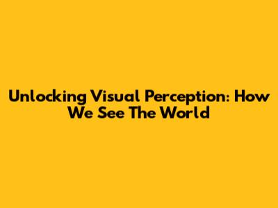 Unlocking Visual Perception: How We See The World