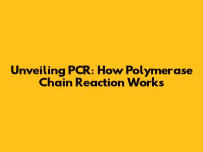 Unveiling PCR: How Polymerase Chain Reaction Works