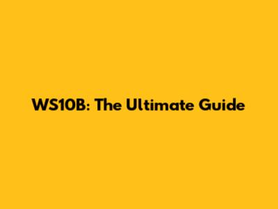WS10B: The Ultimate Guide