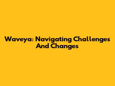 Waveya: Navigating Challenges And Changes