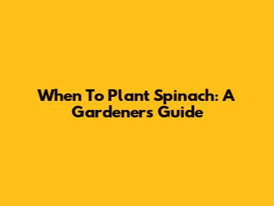 When To Plant Spinach: A Gardener's Guide