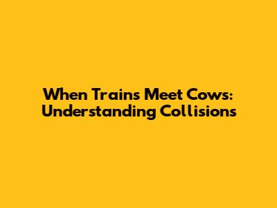 When Trains Meet Cows: Understanding Collisions