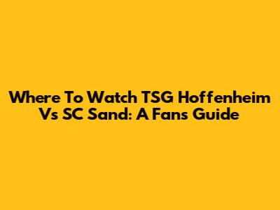 Where To Watch TSG Hoffenheim Vs SC Sand: A Fan's Guide
