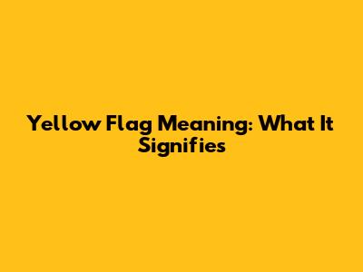 Yellow Flag Meaning: What It Signifies