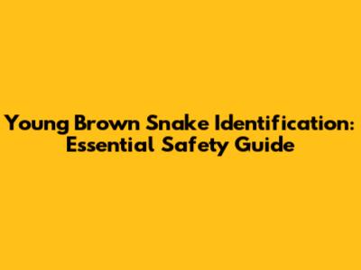 Young Brown Snake Identification: Essential Safety Guide